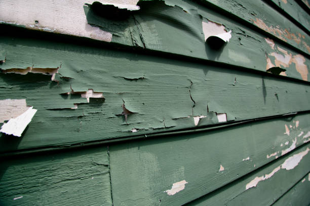 Trusted Eden Isle, LA Junk Removal Experts